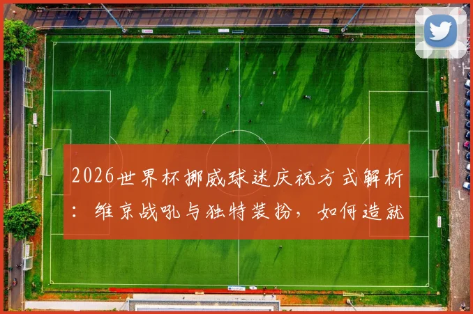 2026世界杯挪威球迷庆祝方式解析:维京战吼与独特装扮,如何造就赛场最美风景线