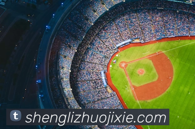 奖项证书